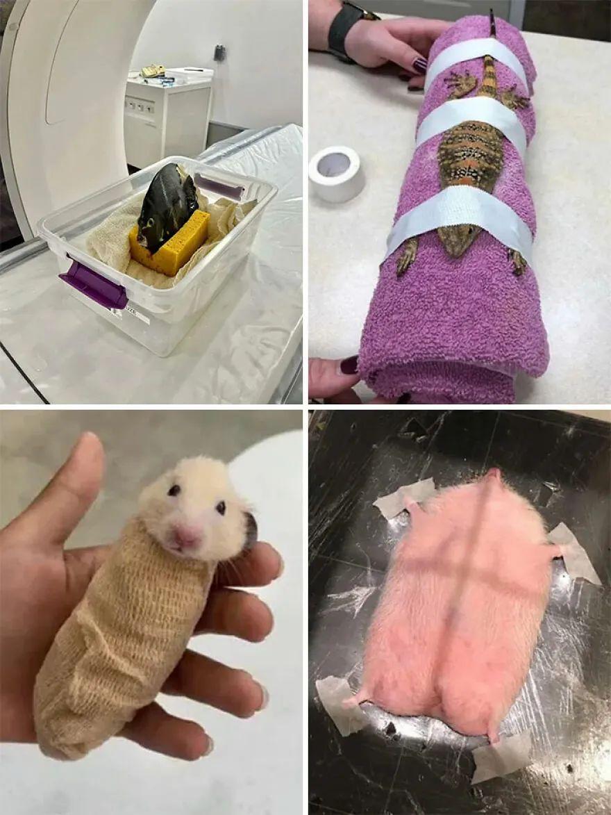 20张照片颠覆你常识,看完让人疑惑真的假的!