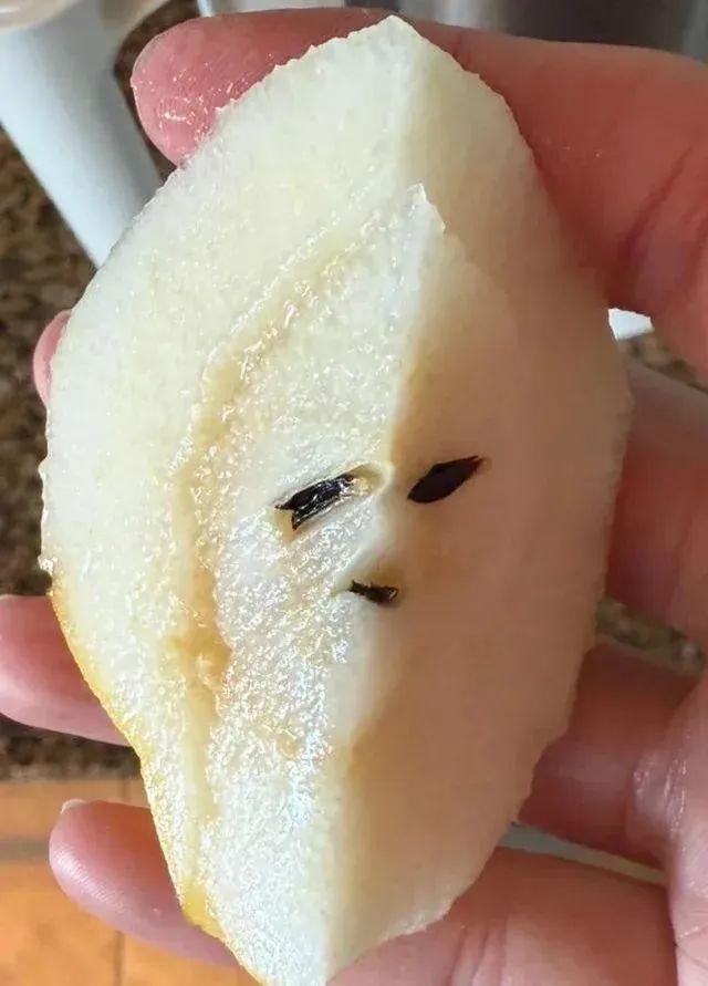 22张照骗,眼见不为实:它们正悄悄揭穿你的思维习惯