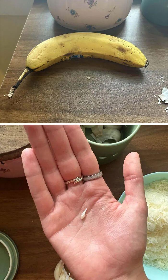 38张搞笑又扎心的收获照:有人种出“拳头番茄”,有人收获一颗蓝莓