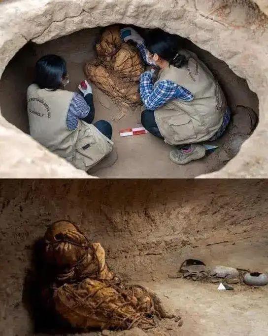 见过会“透明”的鲨鱼吗?30张让人瞠目结舌的自然奇观照片插图26 见过会“透明”的鲨鱼吗?30张让人瞠目结舌的自然奇观照片插图26