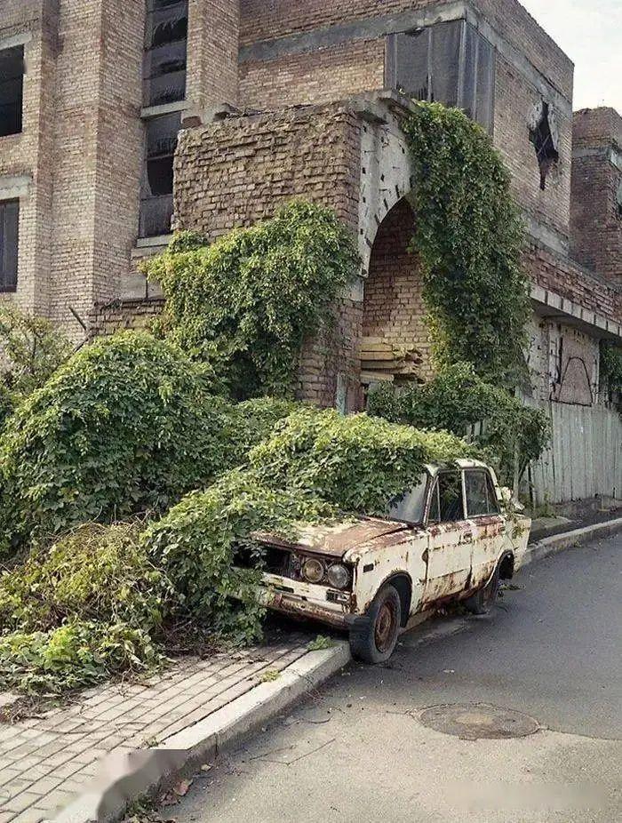 21个被自然“接管”的地方:人类消失后地球就是这样的!