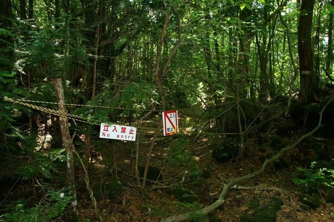 20个地球“噩梦角落”,有人打卡,有人一眼都不敢看