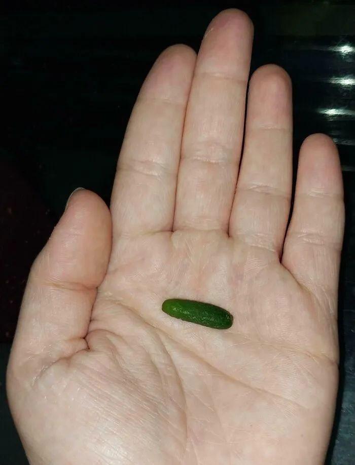 30 张“眼见不一定为实”的照片,挑战你对现实的认知