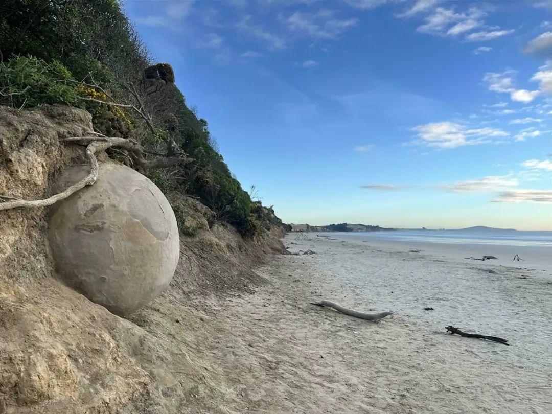 27次海滩惊魂发现:从恐龙脚印到鲸鱼骸骨,真相比小说还离谱!