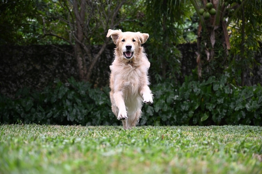 轻装上阵!尼康Z5II & Z6III承载你的盛夏出游记忆插图1 轻装上阵!尼康Z5II & Z6III承载你的盛夏出游记忆插图1