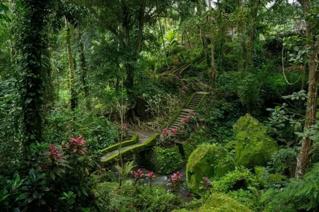 腾龙宣布开发 25-200mm F/2.8-5.6 Di III VXD G2 镜头插图5