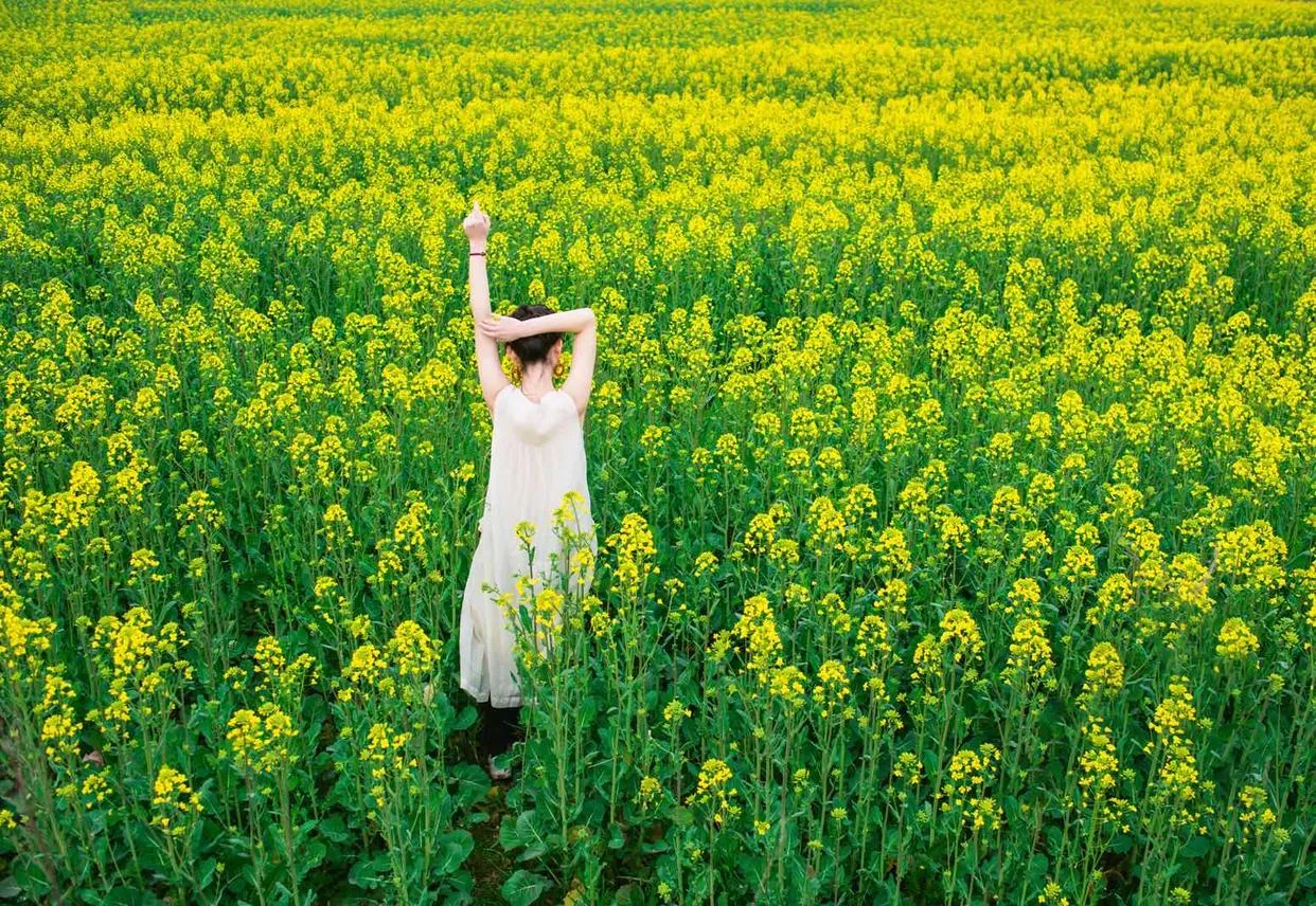 女生花海人像摄影姿势分享，姿势都很简约不做作，拍照花美仁也美插图7
