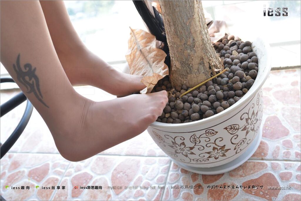 [IESS异思趣向] 2017.10.31 丝足便当165：《老大的远房表妹》表妹 [99P/567MB]插图3