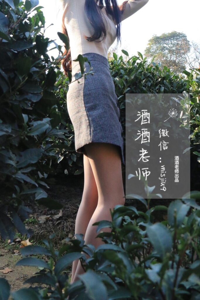 酒酒老师 NO.005 – 办公室通勤丝袜集[71P/460MB]插图2