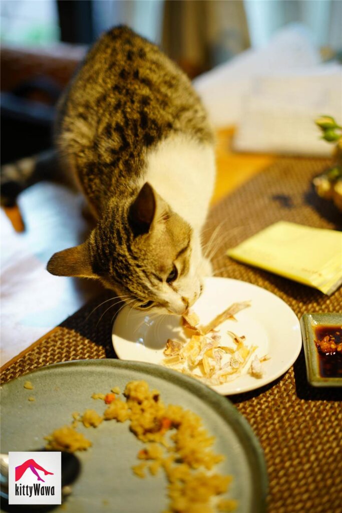 [kittyWawa袜小喵] KT020《开叉裙与蕾丝》[99P/32MB]插图1