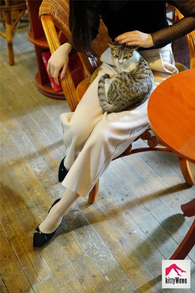 [kittyWawa袜小喵] KT022《阔腿裤里的秘密》[99P/25MB]插图3