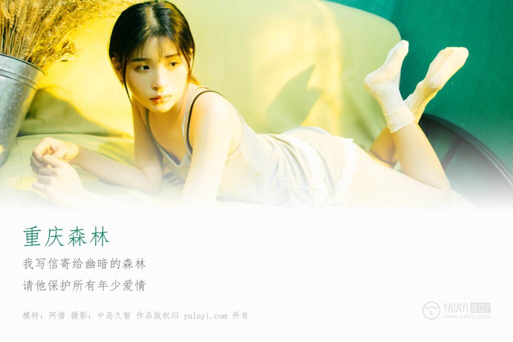 [YALAYI雅拉伊] 2019.02.28 No.198 重庆森林 阿惜 [43P/795MB]插图1