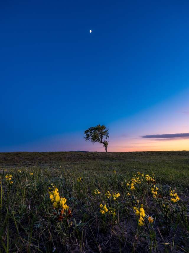 用一亿像素记录极致细节 富士GFX100SII风光摄影体验插图3
