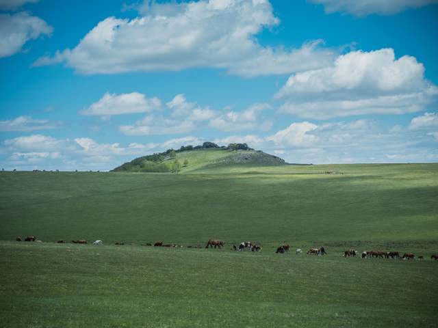 用一亿像素记录极致细节 富士GFX100SII风光摄影体验插图13