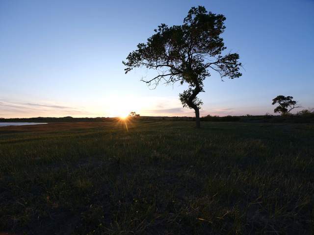 用一亿像素记录极致细节 富士GFX100SII风光摄影体验插图15