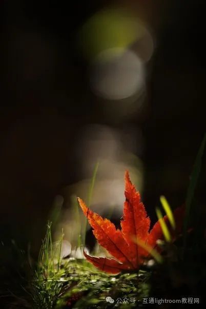 风光摄影没思路，值得尝试的5个技巧插图4