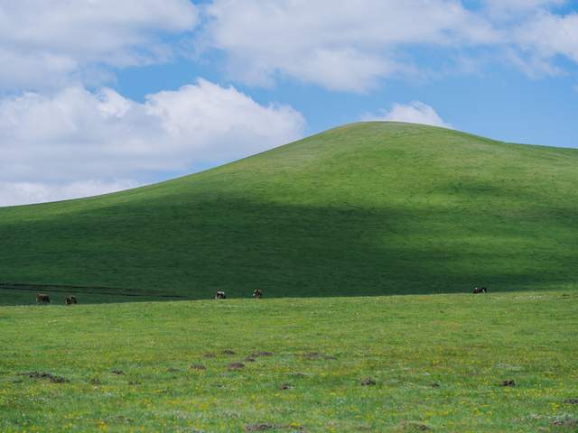 用一亿像素记录极致细节 富士GFX100SII风光摄影体验插图7