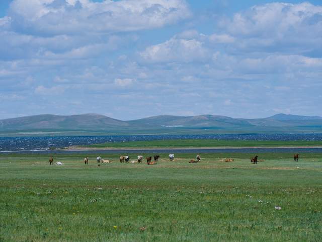 用一亿像素记录极致细节 富士GFX100SII风光摄影体验插图8