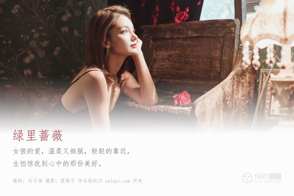 [YALAYI雅拉伊] 2020.01.13 Vol.519 绿里蔷薇 刘子扬 [47+1P/743MB]插图1