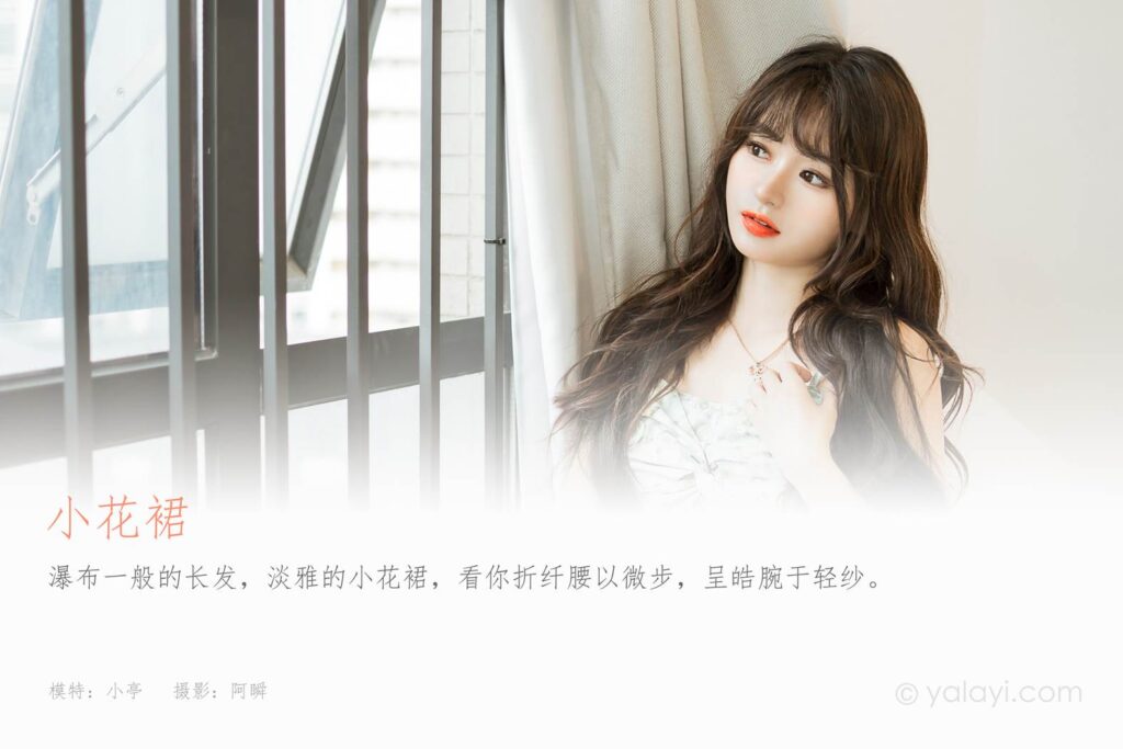 [YALAYI雅拉伊]2023.08.07 NO.1056 小花裙 小亭[45+1P/148MB]插图1