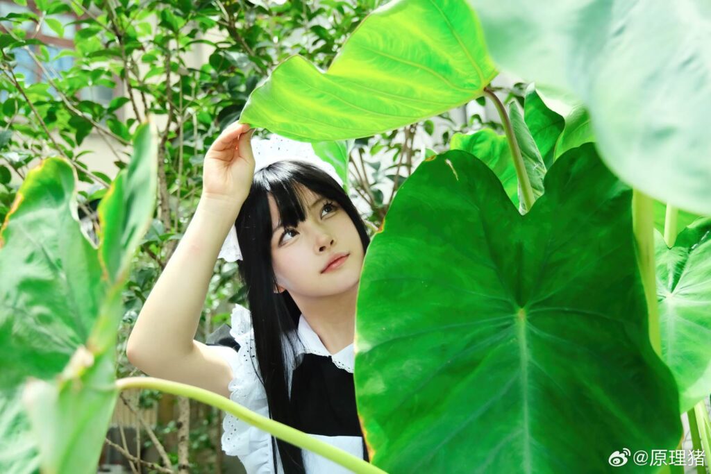 白莉爱吃巧克力 NO.005 – 原理猪 深巷女仆[11P/487MB]插图