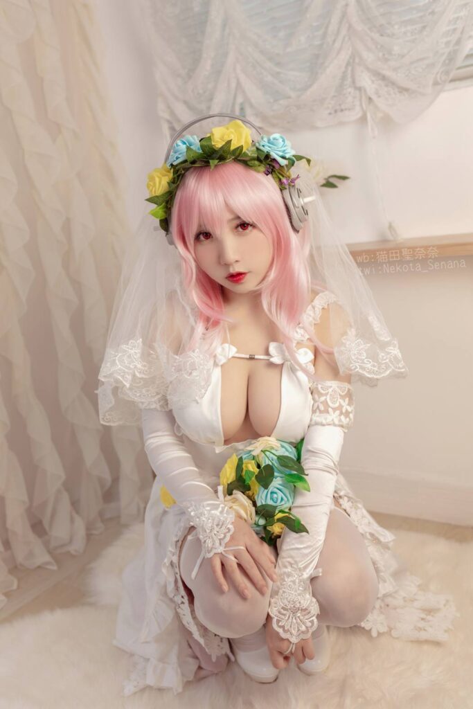 貓田聖奈奈(桃之啾啾) NO.005 – 索尼子十周年花嫁[35P/103MB]插图