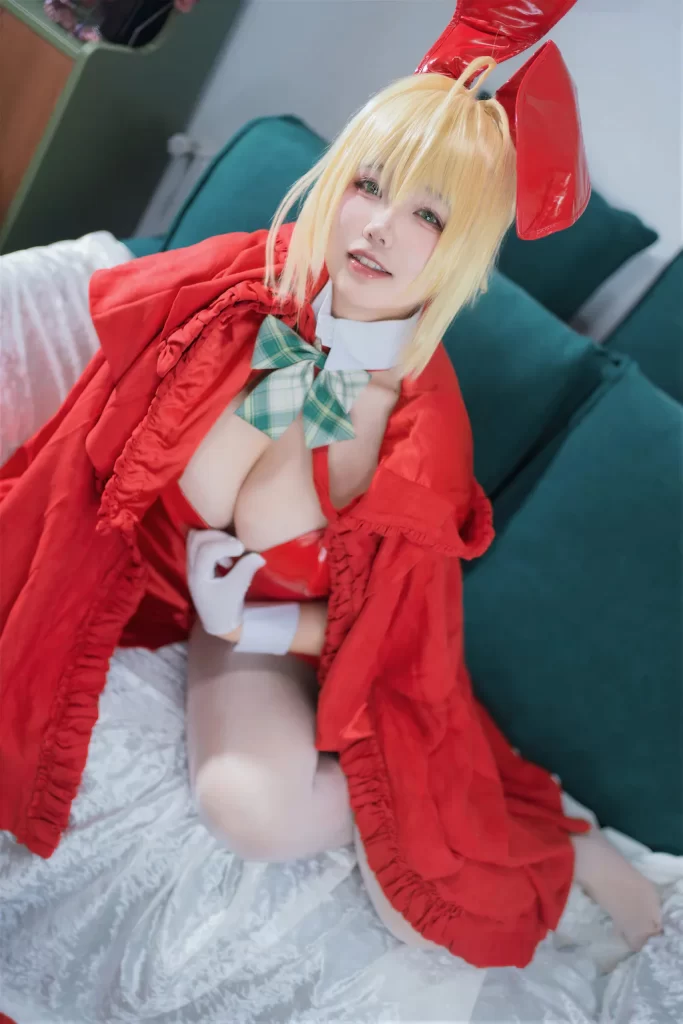 阿半今天很开心 NO.043 – FGO 尼禄圣诞节[71P/579MB]插图1