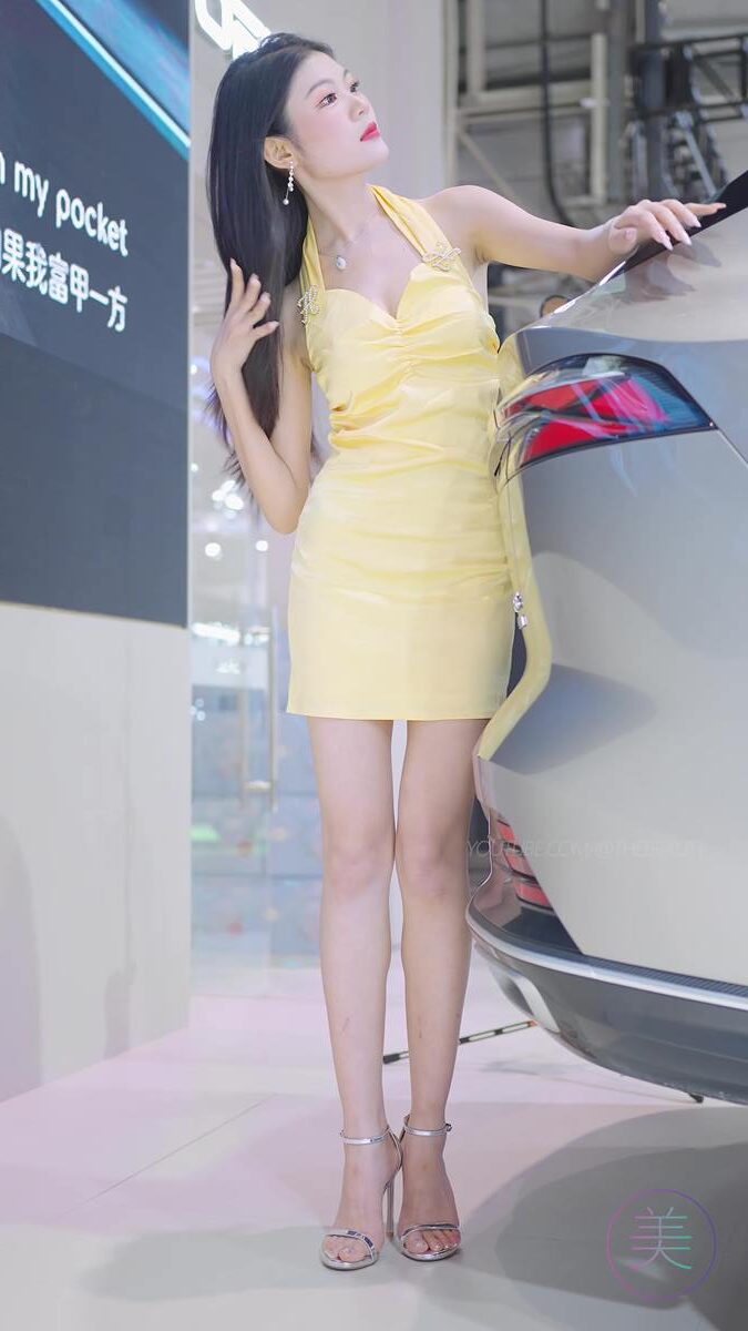 NO.1139 2023 东莞秋季车展 Racing Model ROEWE车模22[1V/515MB]插图2