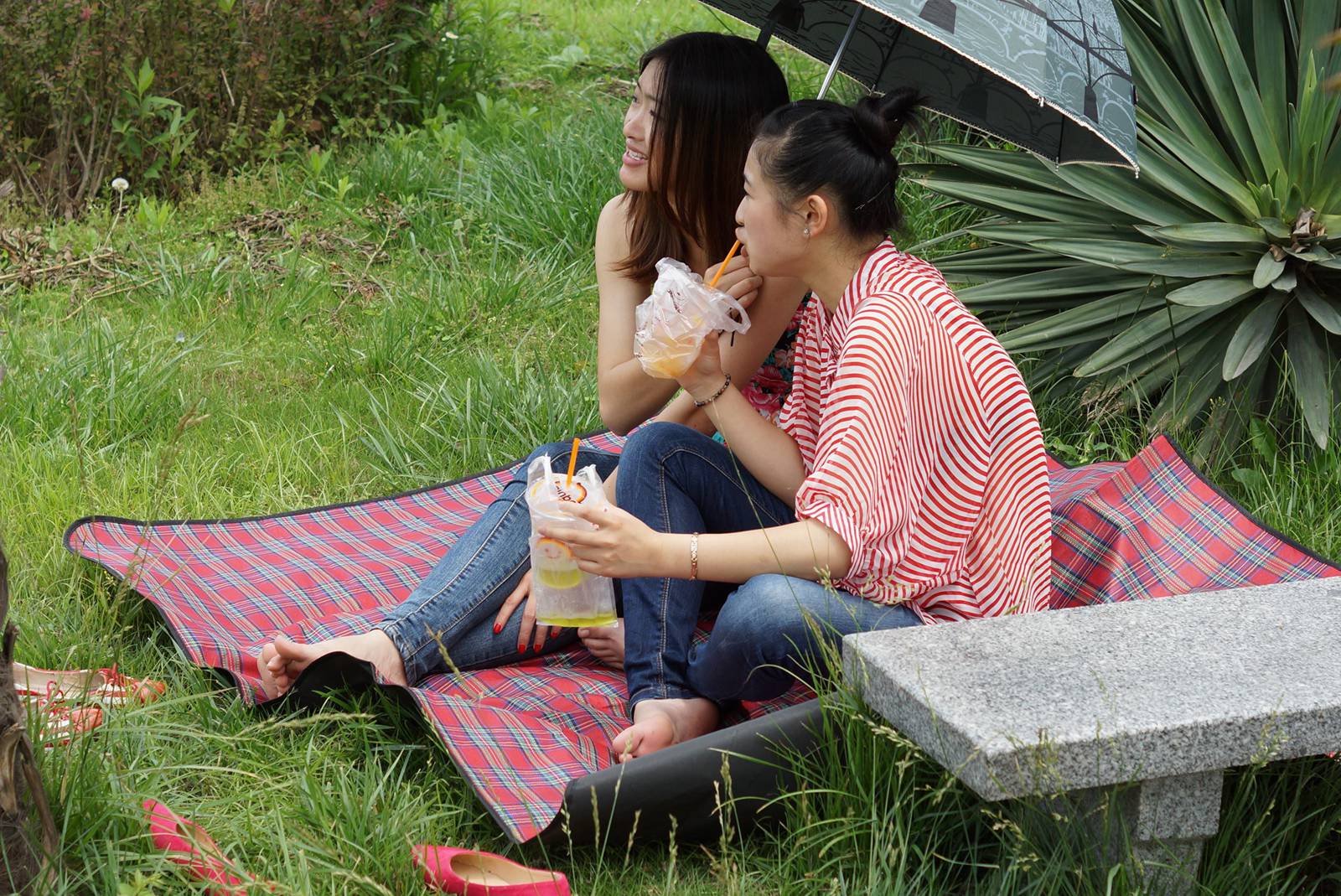 图片[1]-自由摄影 No.122 瞬间的永恒，两个MM完全不知 [51P/214MB]-无料摄影圈